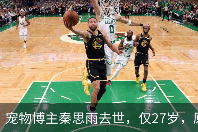 宠物博主秦思雨去世，仅27岁，原因曝光太痛心，疑与流浪猫狗有关