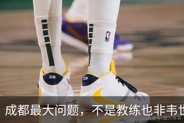 成都最大问题，不是教练也非韦世豪，而是外援集体拉胯，仅靠费利佩一人