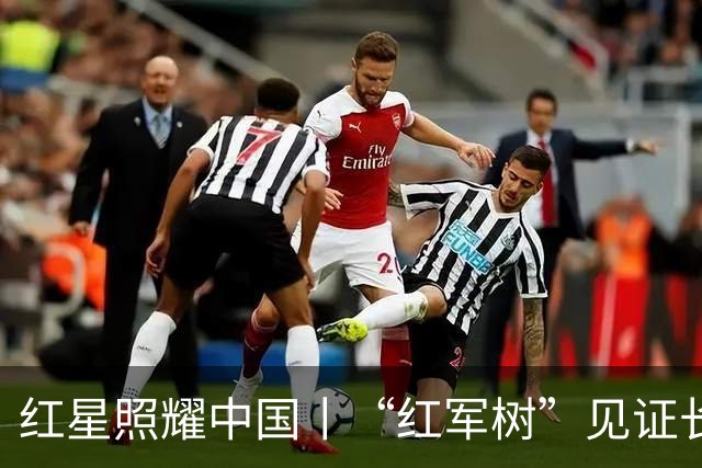 红星照耀中国丨“红军树”见证长征路