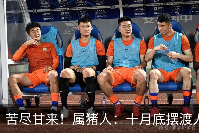 苦尽甘来！属猪人：十月底"摆渡人"悄然降临
